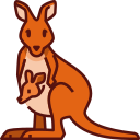 Kangaroo,Mom,Mothers day,Mother,Love,Family,Animal